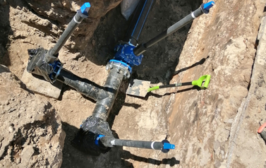 d_p1e7k9h2kce2tpnsgro13g8dnl2