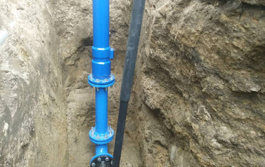 d_p1eh20383322apnj6m19ikcqi1