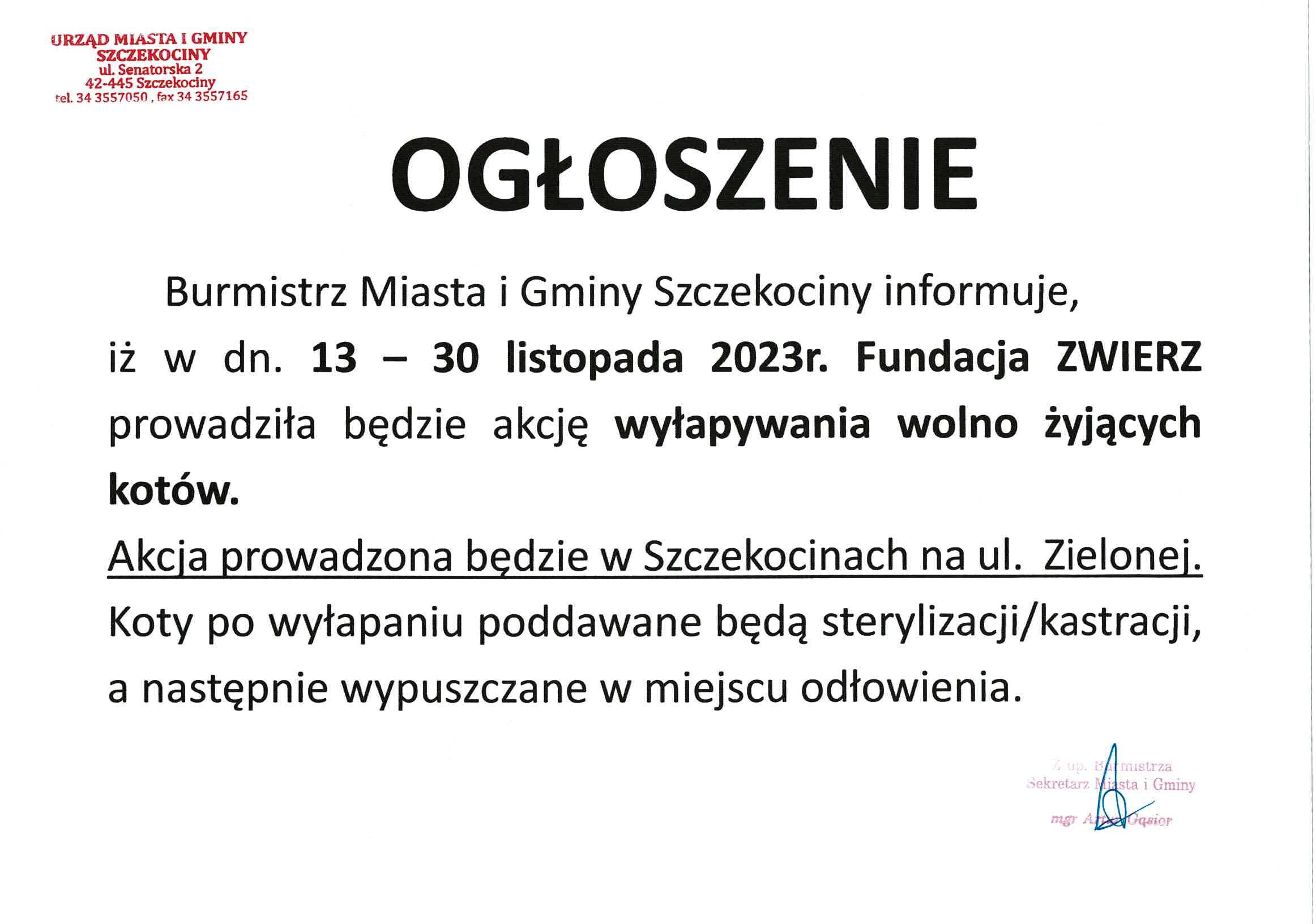ogłoszenie koty