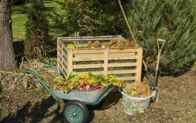 Zdjęcie do Ankieta dotycząca zagospodarowania bioodpad&oacute;w w przydomowym kompostowniku    na terenie Gminy Szczekociny