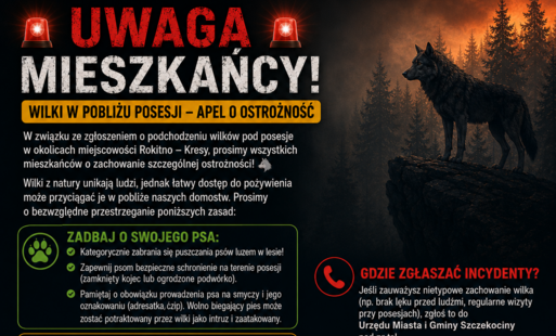 Zdjęcie do Uwaga: Wilki w pobliżu posesji w miejscowości Rokitno-Kresy &ndash; apel o ostrożność i zasady postępowania