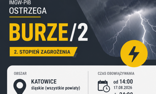 Zdjęcie do IMGW-PIB OSTRZEGA &ndash; BURZE 2. STOPIEŃ ZAGROŻENIA
